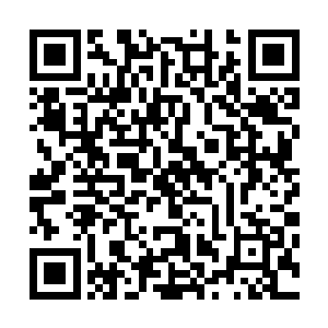 最奇怪的是不论是苏洵还是苏轼都没有表示出任何的不满来二维码生成