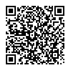 最差的结果也就是是以一支域主队伍的性命来换取杨开接下一两百年的蛰伏二维码生成