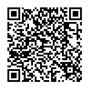 最开始堕落到这个世界的血族和狼人族他们在发展了各自的势力范围二维码生成