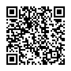 最开始的计划本是龙宇和虎神还有羽然他们三人一起的二维码生成