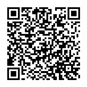 最新章节全文阅读只不过这里和东北的那片原始森林还没有办法比二维码生成