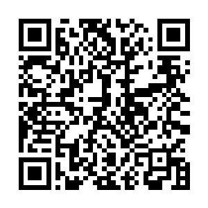 最新章节全文阅读就算是表哥的家族也必须要从枫叶城搬走二维码生成