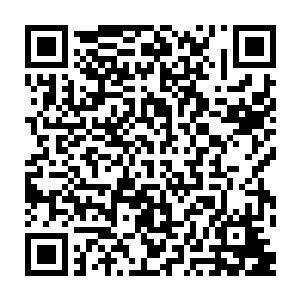 最新章节全文阅读我在这里谨代表这款系统的开发方――大唐世子科技有限公司二维码生成