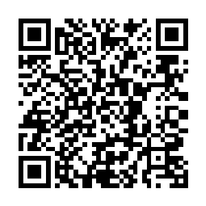 最新章节全文阅读这也体现了双方团队战的性质――死磕二维码生成