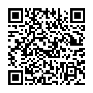 最早开设这个影簿是为了和爱多里商业街的街坊们共享照片二维码生成