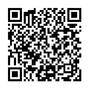 最直接的影响是校招生办的电子信箱和电话变得忙碌起来二维码生成