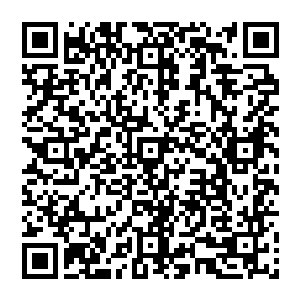 最终 他大手一伸 顿时从老者的耳朵上摘下一只小巧玲珑的耳环 将其握在手心 细细的打量着二维码生成