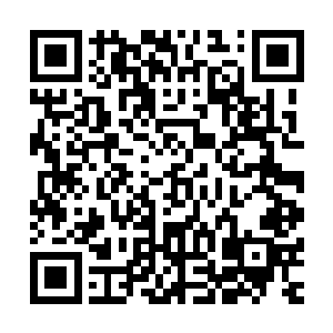 最终从一名血族男爵的口中问出了目前坐镇落星山脉的主持者二维码生成