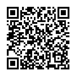 最终再按投资规模中我们占有的百分之十八分红二维码生成