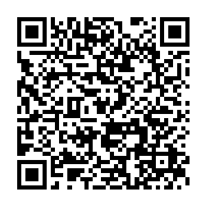 最终化为一抹深深的无奈――他只不过是寄人篱下的一个小将而已二维码生成