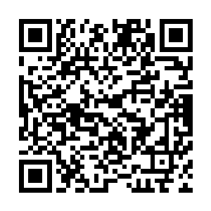最终却陨落在了楚旬这个甚至连界主境界都没到的家伙手上二维码生成
