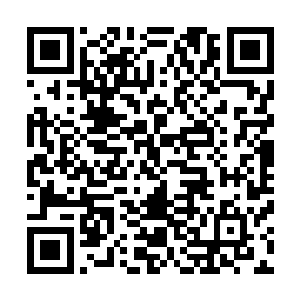 最终的下场估计会被众仙盟当成与另一个大势力对抗的炮灰二维码生成