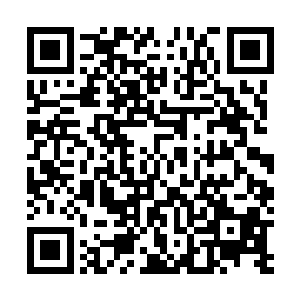 最终结果就是大幅缩短的寿命和一定概率损伤的智力不过二维码生成