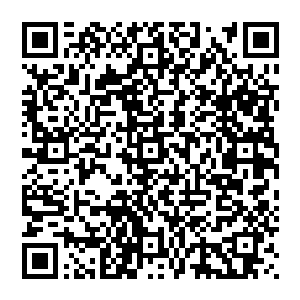 最终还是被那个家族的人在几个强横无匹的隐世家族高手的练手之下将那妖族的大神通者给擒服住的二维码生成