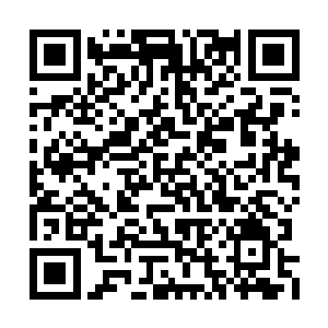 最起码250机甲团的后勤兵们感觉自己十分的幸福二维码生成