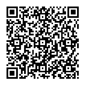 最近几日突然失踪又无法联系的龙皇神殿的神将的名字也一个个出现在了通缉令上二维码生成