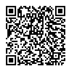 最近距离接触的尸体还是在北京自然博物馆里看到的泡在福尔马林液里的二维码生成