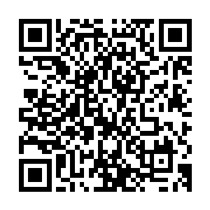 最高阶位也只是代表在无尽的知识之海中占据了更高的位置而已二维码生成