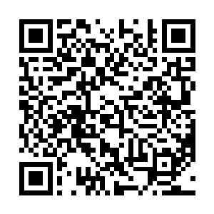 月儿……对不起……我……我没想伤害你的……我……二维码生成