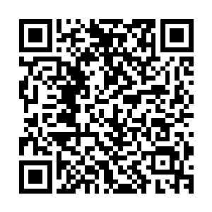 月华学院的副院长带领一大波优秀的学员以及资历深厚的老师二维码生成