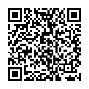 月璃在迷族内又怎会定下了极为苛刻的条件为人治疗二维码生成