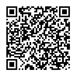 月神的形象风格一下子从一个魔法师变成了类似阿拉伯宫廷女武士的模样二维码生成