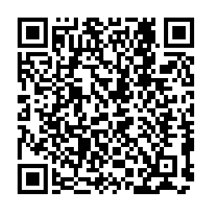 有一个家伙是完全不把这个放在眼里的……因为它眼中还有一样更加重要的宝物二维码生成