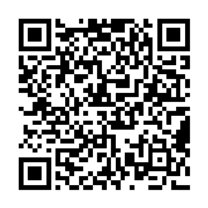 有一个很完美的生活但是为什么现在会突然变成这个样子二维码生成