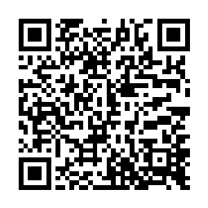 有一天你们可能会憎恨我……可能有很多人会憎恨我二维码生成