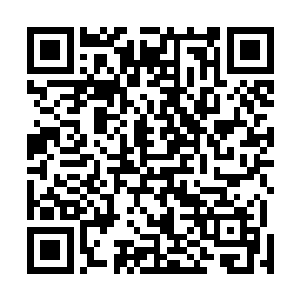 有一座如同行将就木的老头子一样的巨山挡在了他们面前二维码生成