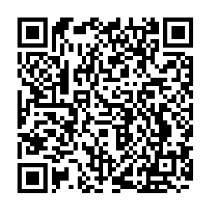 有一支总统直属的国家警察特别行动队倒是听说算东南亚最精锐的特战单位二维码生成