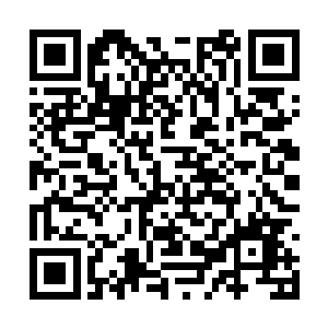 有一条确切的消息说有一片万兽无疆的碎片在燕国二维码生成