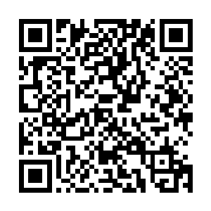 有一种东西可以无条件换取火灵族的一次不违法族规的赦免二维码生成
