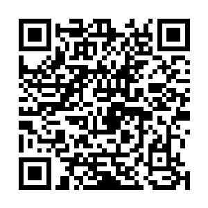 有一道几乎讯不可见的红线分别朝罗林和萨迈尔延伸过去二维码生成