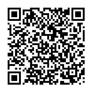 有了不死之人……这一切的一切都如一本缓缓翻开的书在我的面前一点点的打开二维码生成