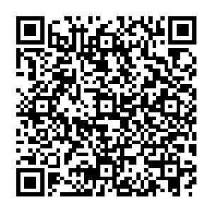 有了逍遥神戒这个逆天的装备之后短时间内将他们的实力提升几个层次完全不是什么难事二维码生成