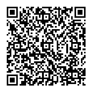 有些事情实在是真的考虑不周……我本想你也是修行中……应该…也许…大概…不那么介意……二维码生成