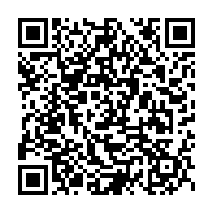有些奇怪的看着自家主子站在客栈门口不进去反而笑得一脸奇怪的模样二维码生成