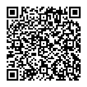 有些实力稍弱一点的雇佣兵或者理查德家族的侍卫们便会被那强大的罡风给割成两半二维码生成