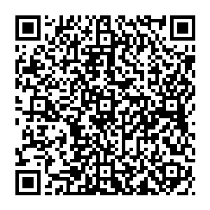 有些广点飞了起來 那大巫圣女将其接在手中 似乎握住了其中的一点 然后看着风清扬 对着他轻轻的一吹二维码生成