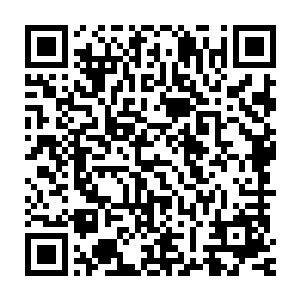 有些细苗在翻钻的过程中恰好碰触到了霍君白刚才撒落下去的那批黄豆二维码生成