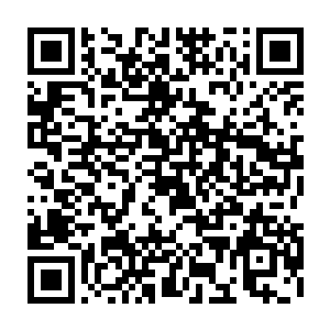 有些fint的粉丝似乎都不敢相信国内顶尖的中单竟然会被一个无名小卒给单杀二维码生成