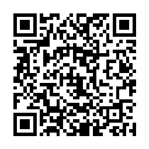 有人哭笑不得的指了指江堤上蛋蛋破碎满地打滚的泼皮二维码生成