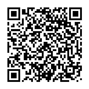 有人曾目睹一群水虎鱼在短短数秒内将一头牛撕成碎片的可怕景象二维码生成