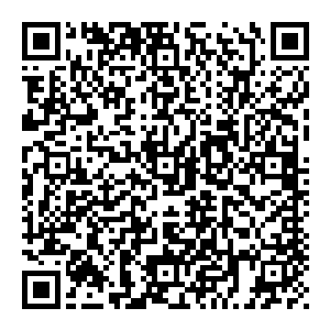 有人沉声说道 他们显然是看到了下方的弟子 但他们不是傻子 明显的感受到了一种时空的差异 那是两个不同但却重叠的空间二维码生成