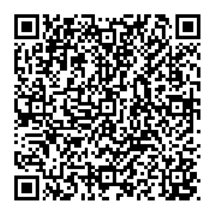 有人说我不听我不听你写得不是我心中想的你让我不开心不舒服不喜欢你就是个大水逼你就是个大傻逼你姜狼才尽――二维码生成