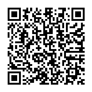 有什么疑问等到我们完全了解了莫甘娜女士的意思之后再做讨论如何二维码生成