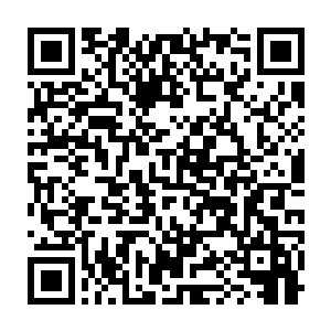 有像凌兰上一次那样跌跌撞撞的首次操控机甲的菜鸟中菜鸟的操控者二维码生成