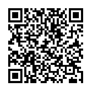 有关中医药禁止在欧洲使用的条例不是法国一国推行出来的二维码生成