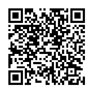 有几个教授毫无新意地让大家上前面做一下简短的自我介绍二维码生成